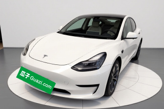 特斯拉 Model 3 2021款 Performance高性能全轮驱动版