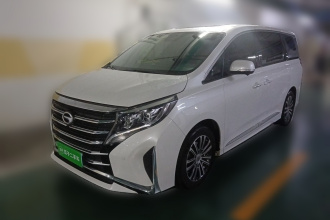广汽传祺 传祺M8 2023款 领秀系列 390T 至尊版
