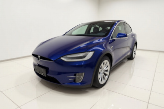 特斯拉 Model X 2019款 长续航版