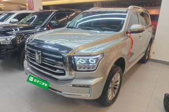 坦克500新能源 2024款 Hi4-T