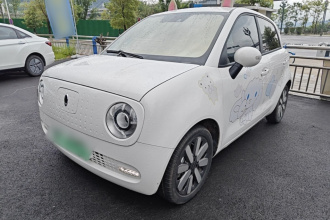 欧拉黑猫 2021款 351km 豪华型