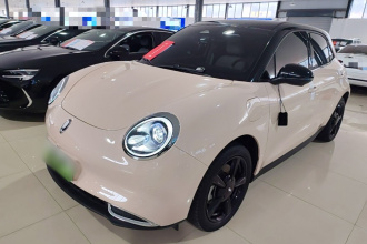 欧拉好猫 2024款 401km 豪华型