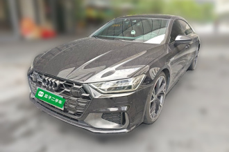 奥迪A7L 2024款 45 TFSI quattro S-line 黑武士版
