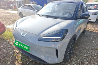 五菱汽车 五菱缤果PLUS 2024款 510km 五座版