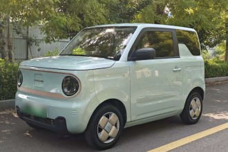 吉利银河 2023款 熊猫mini 200km 耐力熊