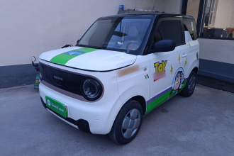 吉利银河 2023款 熊猫mini 200km 耐力熊