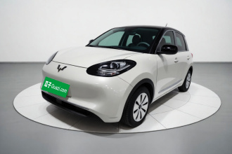 五菱汽车 五菱缤果 2023款 203km 轻享款