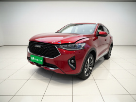 哈弗F7x 2019款 2.0T 两驱极智科技版