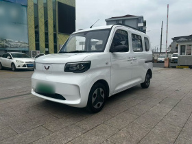 五菱汽车 五菱之光新能源 2025款 201km 标准型