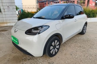 五菱汽车 五菱缤果 2024款 333km 悦享款