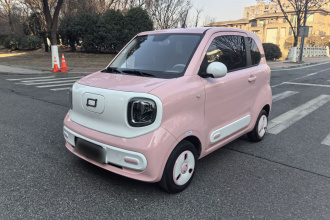 奔腾小马 2025款 222km 闪电马