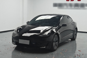 特斯拉 Model 3 2021款 改款 标准续航后驱升级版 3D1