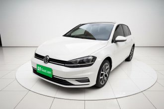 大众 高尔夫 2018款  230TSI 自动豪华型