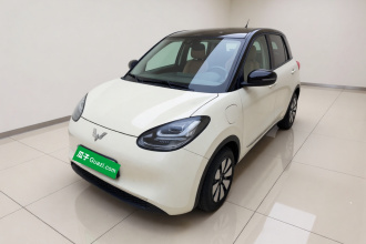 五菱汽车 五菱缤果 2024款 333km 灵犀互联款