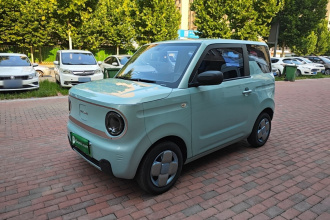 吉利银河 2023款 熊猫mini 200km 耐力熊