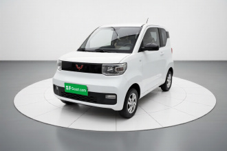 五菱汽车 宏光MINIEV 2020款 自在款 磷酸铁锂