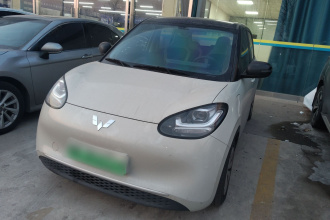 五菱汽车 五菱缤果 2023款 333km 快享款