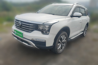 广汽传祺 传祺GS8 2017款 320T 两驱豪华智联版（七座）