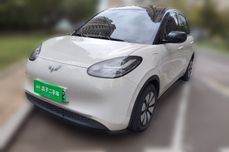 五菱汽车 五菱缤果 2024款 333km 悦享款