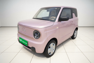 吉利银河 2024款 熊猫mini 200km 耐力熊