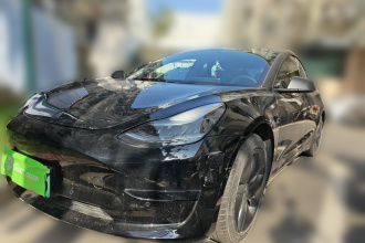 特斯拉 Model 3 2020款 标准续航后驱升级版