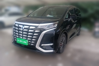 腾势D9 2024款 DM-i 980 四驱尊贵型