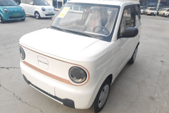 吉利银河 2024款 熊猫mini 200km 耐力熊