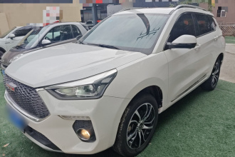 哈弗H6 Coupe 2018款 红标 1.5T 自动两驱超豪型