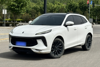 东风风行 风行T5 EVO 2021款 1.5TD DCT钻石版