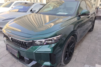 岚图汽车 岚图FREE 2025款 318 318km 后驱环游版