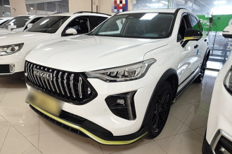 哈弗赤兔 2021款 激擎版 1.5T 黄金兔