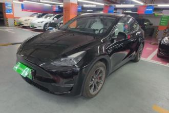 特斯拉 Model Y 2023款 长续航全轮驱动版