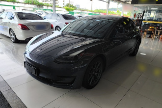 特斯拉 Model 3 2021款 标准续航后驱升级版 3D6