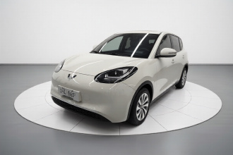 五菱汽车 五菱缤果 2023款 203km 轻享款