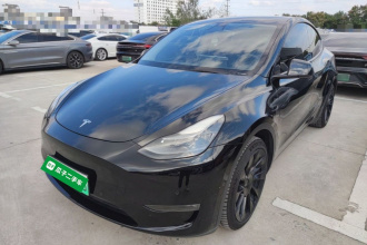 特斯拉 Model Y 2021款 标准续航后驱版