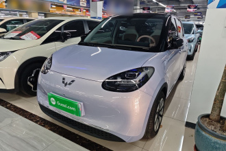 五菱汽车 五菱缤果 2025款 333km 灵犀尊享款