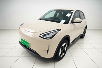 吉利银河 星愿 2025款 310km 梦想版