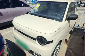 吉利银河 2025款 熊猫mini 210km 元气熊