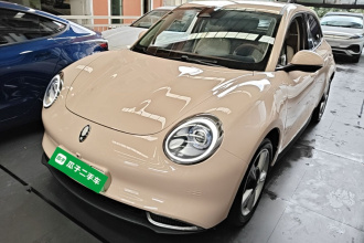 欧拉好猫 2023款 401km标准续航 豪华型 磷酸铁锂
