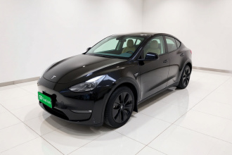 特斯拉 Model Y 2021款 标准续航后驱版