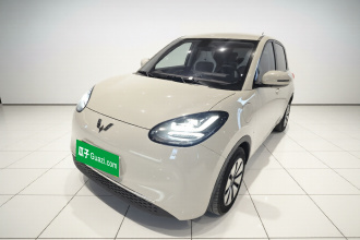 五菱汽车 五菱缤果 2023款 333km 悦享+款