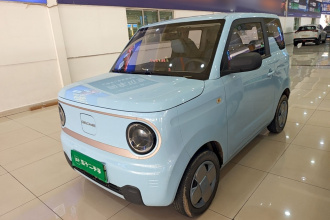 吉利银河 2023款 熊猫mini 200km 耐力熊