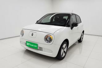 欧拉黑猫 2022款 301km 基础型 三元锂