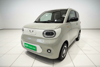 五菱汽车 宏光MINIEV 2024款 第三代 215km 青春版