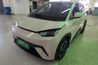 比亚迪 海鸥 2023款 飞翔版