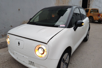 欧拉黑猫 2019款 301km 标准版