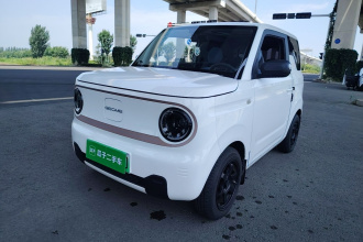 吉利银河 2023款 熊猫mini 200km 灵动熊