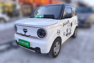 吉利银河 2023款 熊猫mini 120km 萌萌熊