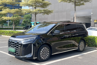 比亚迪 夏 2025款 DM-i 1.5T 180km 卓越型