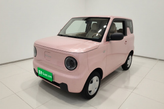 吉利银河 2023款 熊猫mini 200km 耐力熊